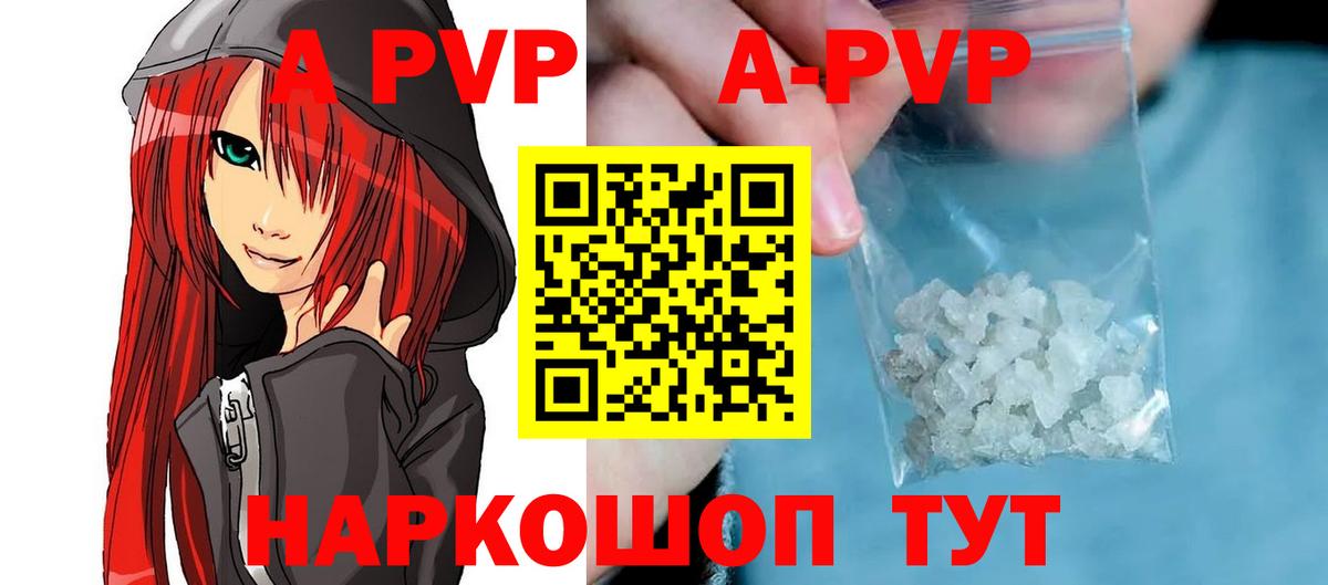 Alfa_PVP СК КРИС Саяногорск