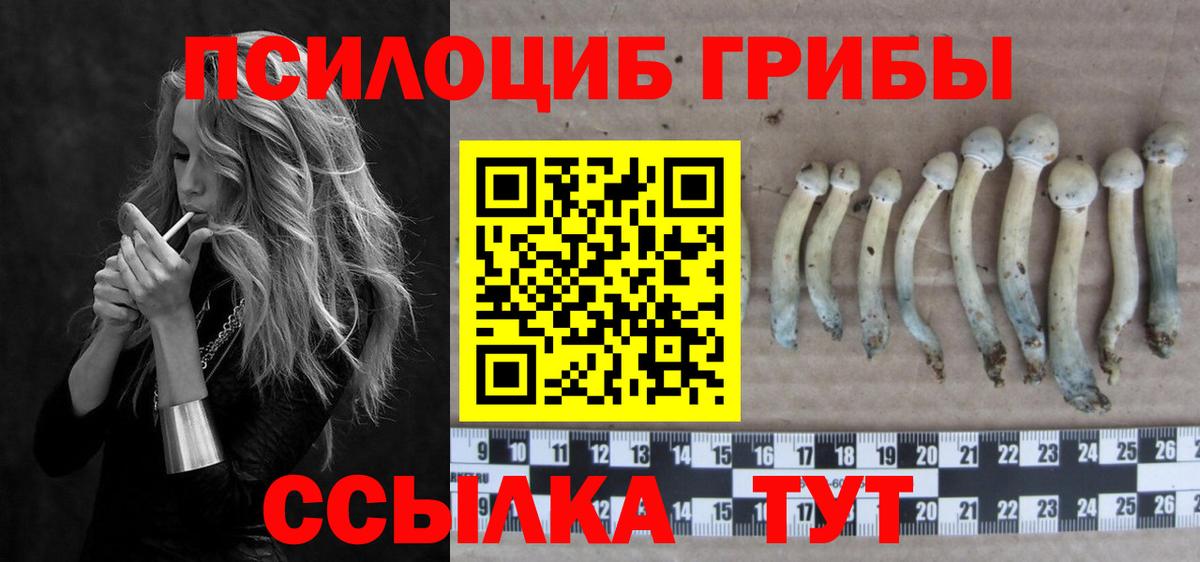Саяногорск  купить  сайты  Вход с VPN  Псилоцибиновые грибы Cubensis 